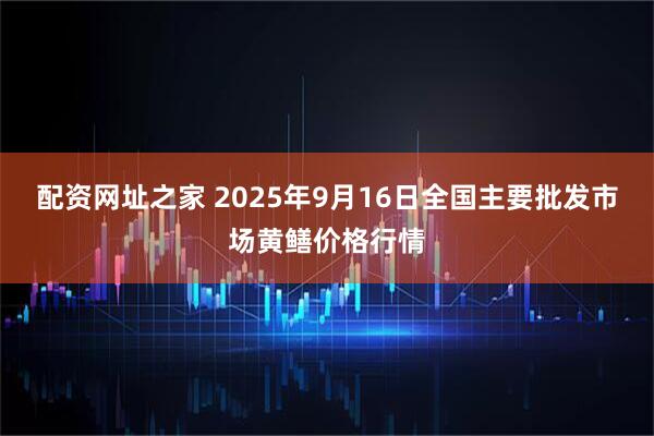 配资网址之家 2025年9月16日全国主要批发市场黄鳝价格行情