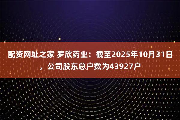 配资网址之家 罗欣药业：截至2025年10月31日，公司股东总户数为43927户